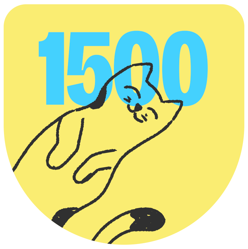 Plan 1500 Felino